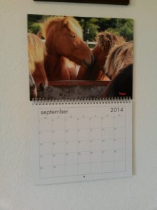 Kalenderen fra i fjor